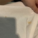 [주간일기챌린지] 7월 둘째주 이모저모,,