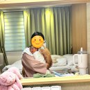 신기메이플아파트 | 노원/월계 와이엘 산후조리원 10일 이용 후기! (초산맘 추천)