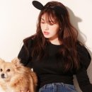 우성동물병원 이미지