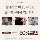 탑스칼프강릉점