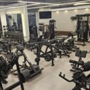 더모스트핏 네이버블로그