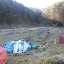 잘풀리는 부동산 공인중개사사무소 이미지