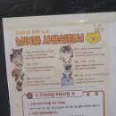 냥이툰 이미지