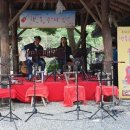 참나무쟁이 Daum카페
