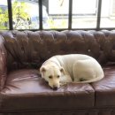 라이드올스테이카페클럽 이미지