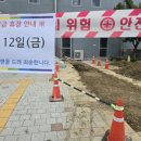 배미수영장 이미지