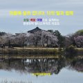 웰니스라이프(wellnesslife)