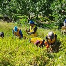 영동자원 이미지