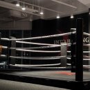 INTO BOXING 이미지