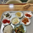 보은식당 - 대덕구 | 보은식당
