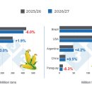 옥수수와 대두: 미국 농무부(USDA)의 2026/2027 시즌 첫 번째 전망치 발표 - 2026년 5월 이미지