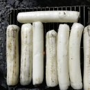밀양스쿨오토캠핑장 티스토리