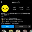 삐약케이크