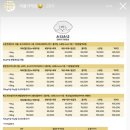 스니스니 이미지