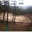 정승농장 이미지