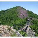 제235차 정기산행 하동 성제봉(1115m)-철쭉-10.4.25(일) 이미지