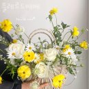 플레르드베베