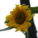 백운교회어린이집 이미지