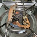 호두나무민박 | 가평 호두나무민박 후기 - 계곡이 가까운 가성비 청정숙소