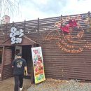 수원-1467 | 260409 수원역맛집 팔딱오리 수원 오리주물럭 맛집 재방문의사 없는 솔직후기