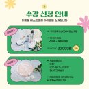 이디야경기도청북부 이미지