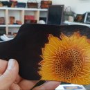 일죽라온 이미지