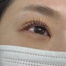 이다지뷰티 | 대전 내돈내산 탄방동 속눈썹펌 유지력 좋은 이다지뷰티 재방문 솔직 후기
