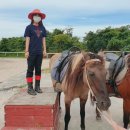 더마파크 이미지