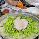 광주복집 | 나주 맛집 영일복집 2대째 운영하는 복어전골 찐맛집! 솔직후기