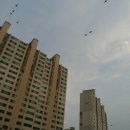 탄천 이미지