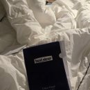 베스트 소프트 | 내돈내산 베스트슬립 Z11소프트그레이(저상형) 후기!