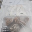 스니피드(SNIFFEED) 이미지