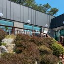 생용길 | 광주 패밀리랜드 식당 맛집 몸보신하고 온 채움늘 씨앗삼계탕