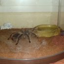 수원-0493 이미지