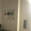 [홍대 디저트 공방] 홍대 디저트 원데이 클래스 공방 클로버케이푸드랩 방문 후기!!(쫀든쿠키 만들기)