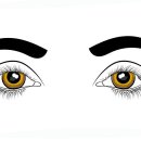 으뜸50안경동래점 이미지