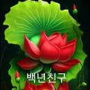 정(情) - 사랑과 이미지
