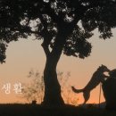 다이소한대앞역점 이미지