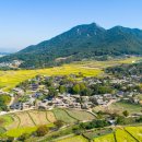 삼호농협주유소 이미지