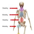 제이뷰짐 이미지