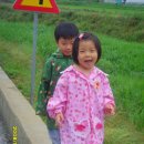 왕동천 Daum카페