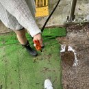 갈계숲화장실 이미지