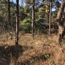 11650-7-5-7 이미지