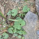 성중농장 이미지