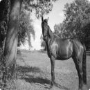 태양이용 이미지