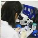 모션의원 이미지