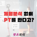 렛츠피티 이미지