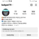 비오비애완용품목동점