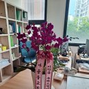 비투비공인중개사사무소 이미지