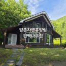 [논산 펜션 추천] 양촌자연휴양림 편백나무집 솔직 후기 – 2층 복층, 화장실 2개, 바베큐 가능!